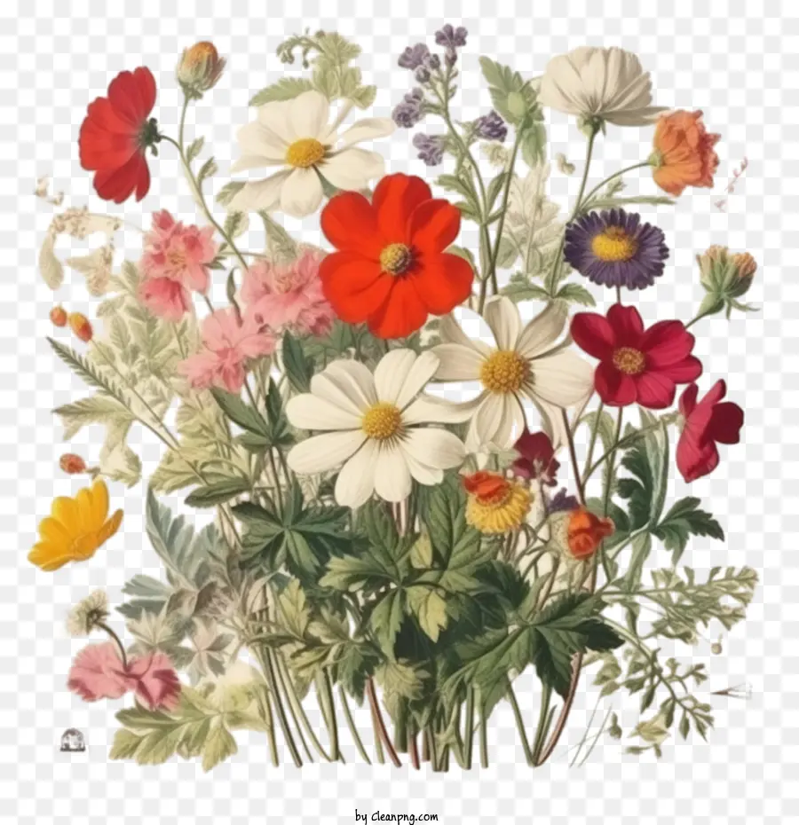 Plantas Com Flores，Flores Silvestres PNG