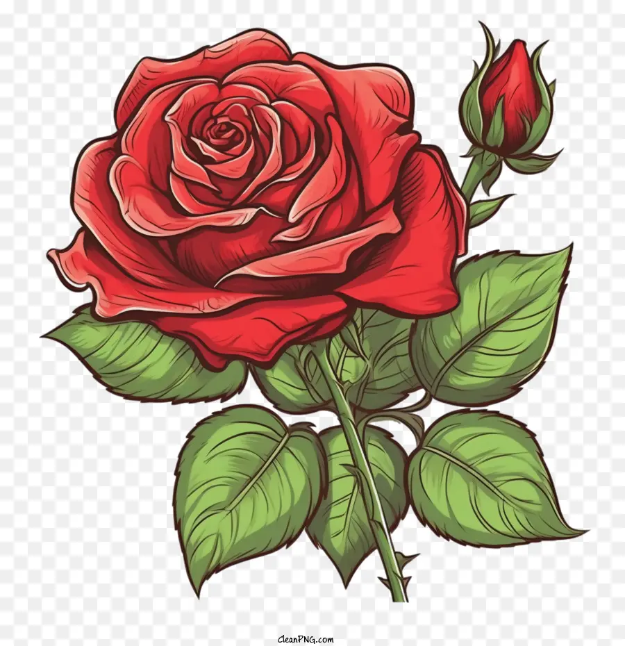 Vintage Rose，Rosa Vermelha PNG