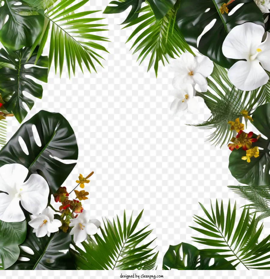 Flores De Verão，Flores Tropicais PNG