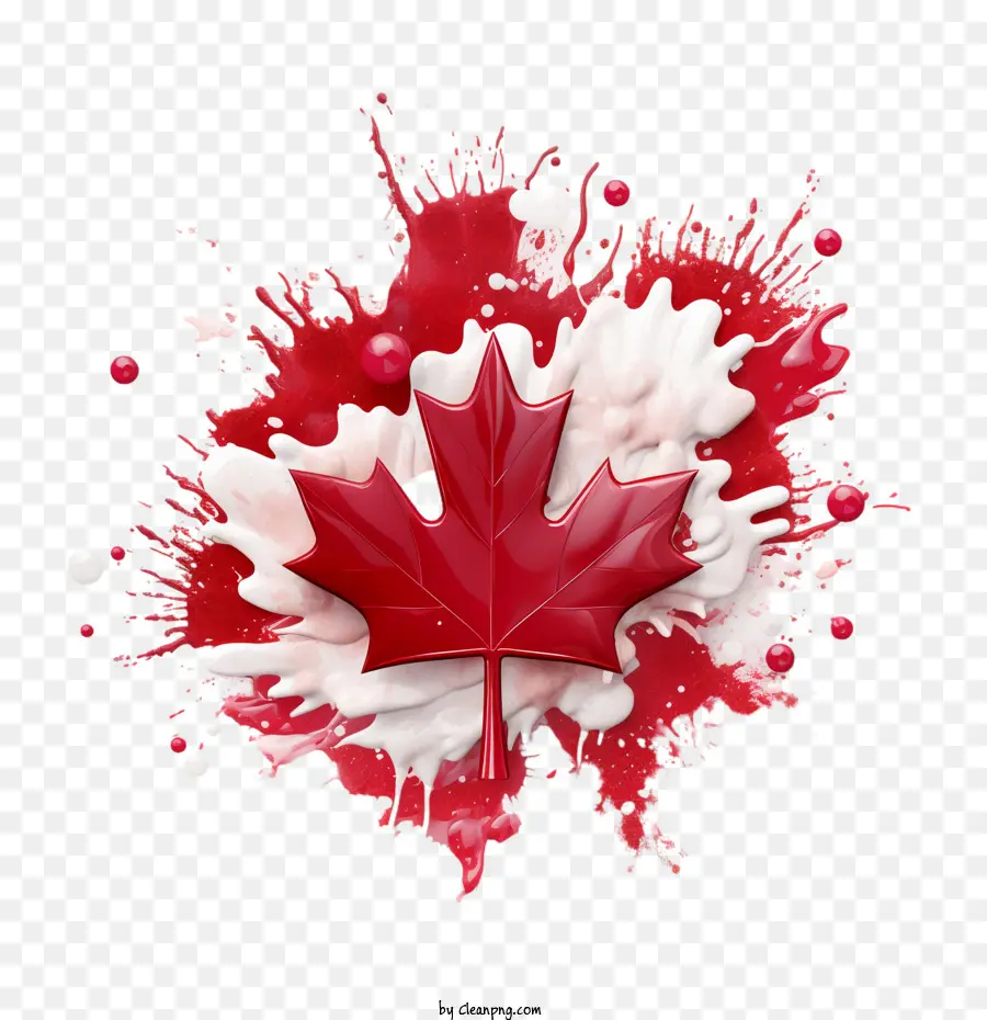 Maple Leaf，Dia Do Canadá PNG