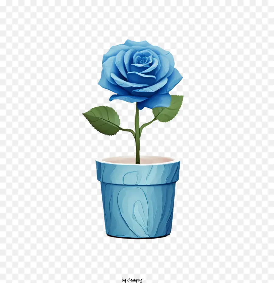 Rosa Azul，Rosa PNG