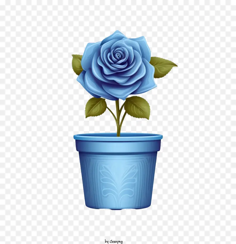 Rosa Azul，Rosa PNG