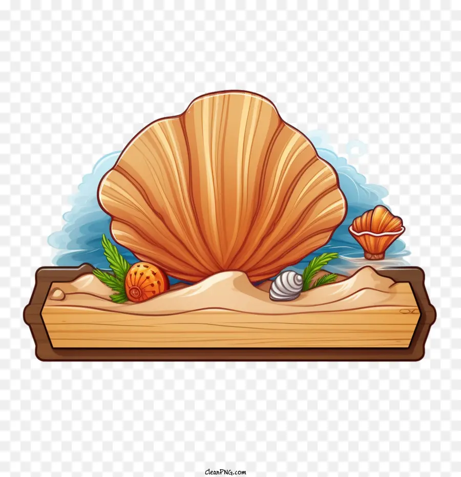 Seashell，Concha Do Mar PNG