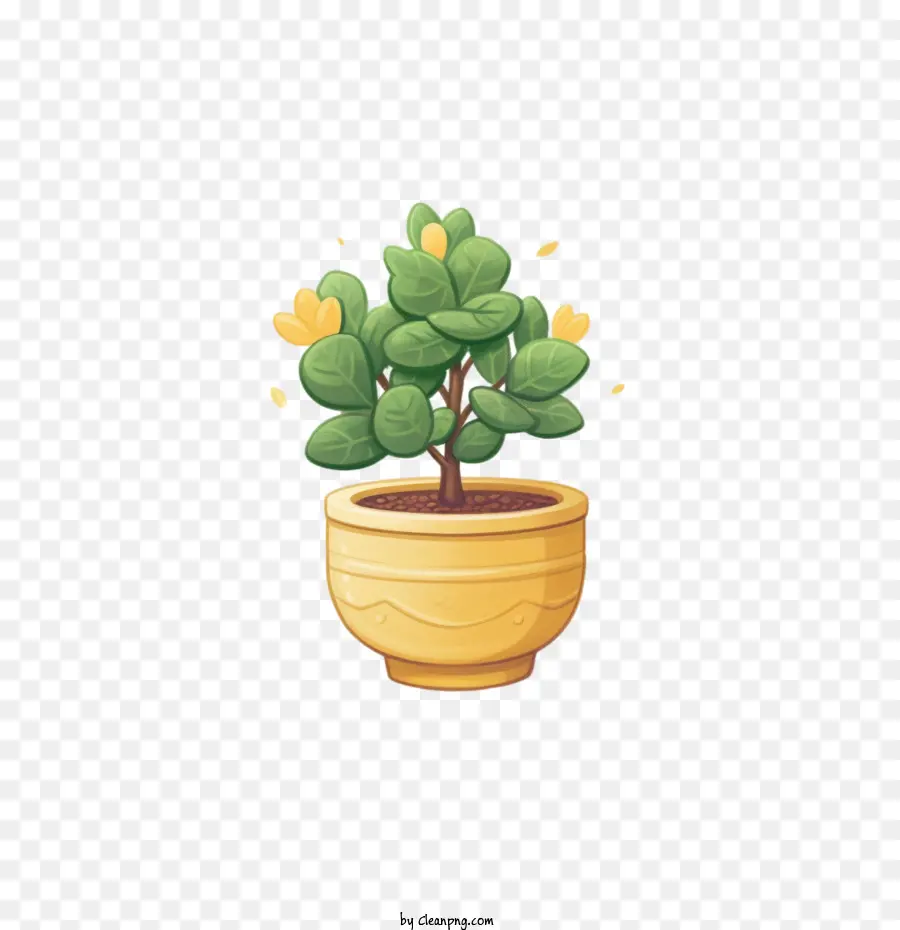 Planta De Ti，Plantar PNG