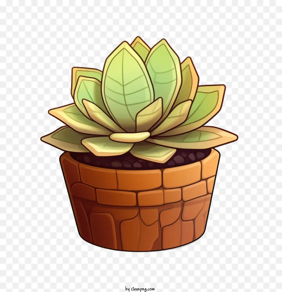 Suculenta Em Couro，Imagem De Uma Planta Em Um Pote PNG