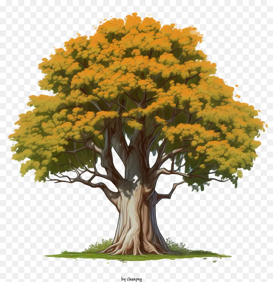 árvore De Bordo，árvore PNG