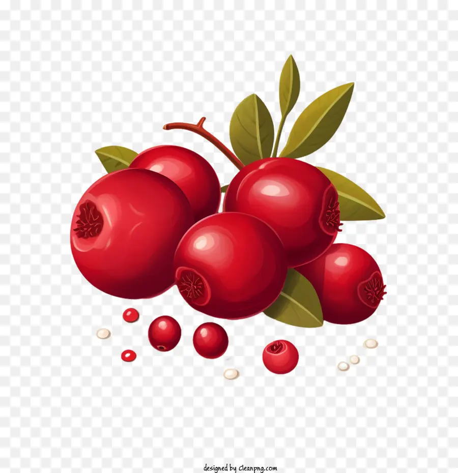 Cranberry，Framboesa PNG