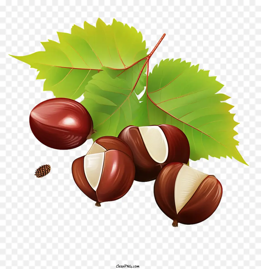 Castanhas，Verde PNG