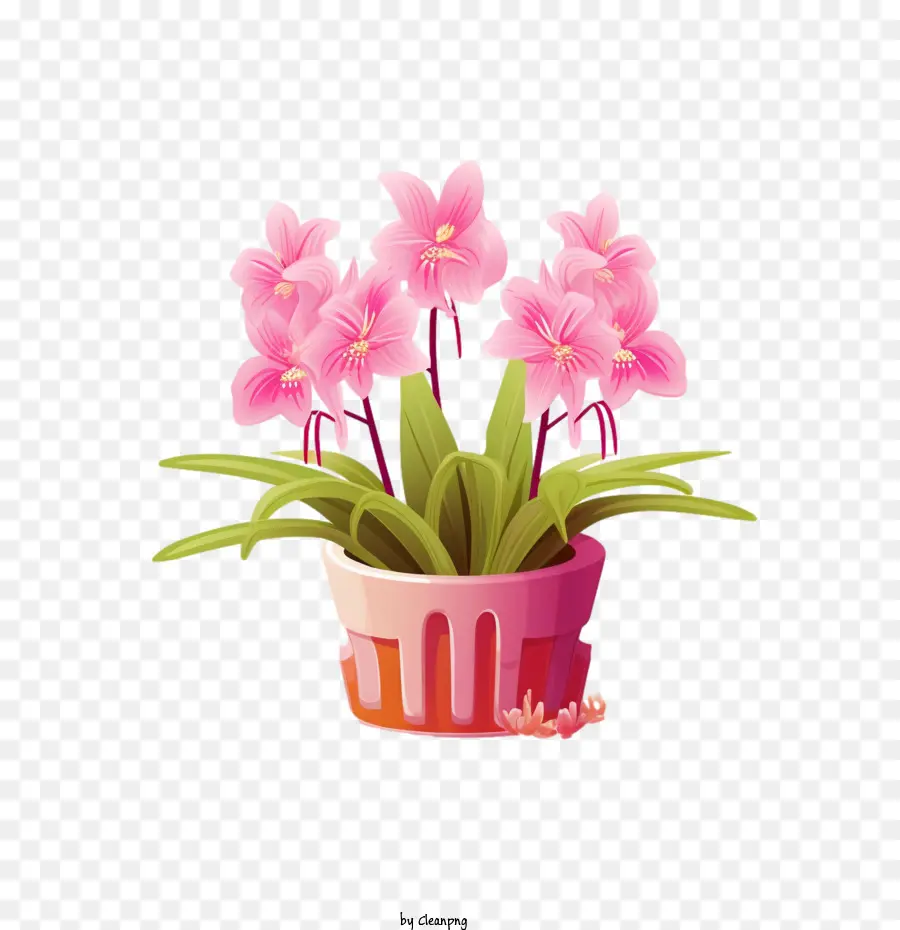 Planta De Orquídeas，Cor De Rosa PNG