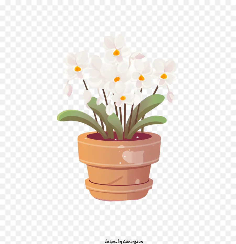 Planta De Orquídeas，Flores Brancas PNG