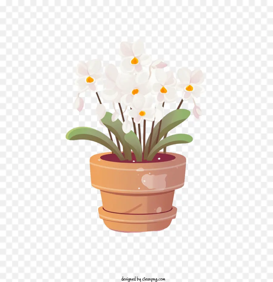 Planta De Orquídeas，Planta Em Vaso PNG