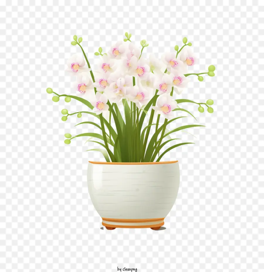 Planta De Orquídeas，Vaso De Flores PNG