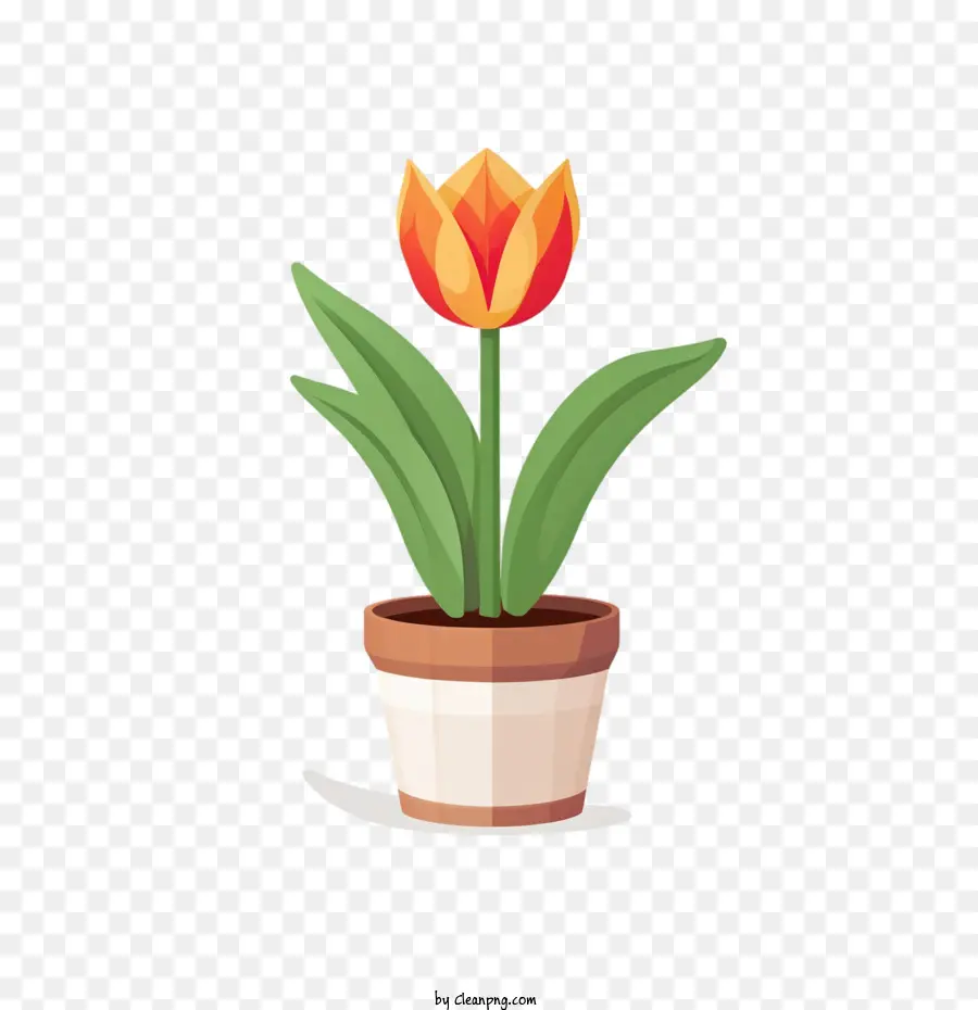 Tulip Flor，Vaso De Flores PNG