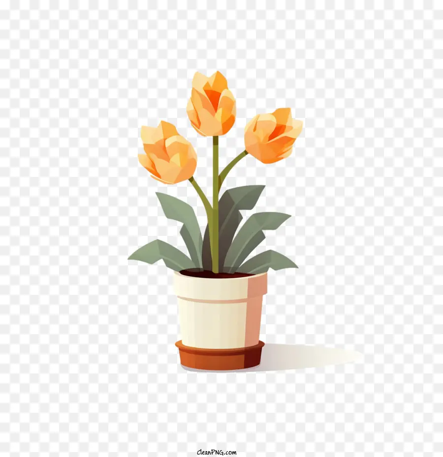 Flor Tulipa，Vaso De Flores PNG