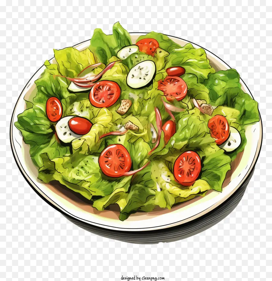 Salada，Alface PNG