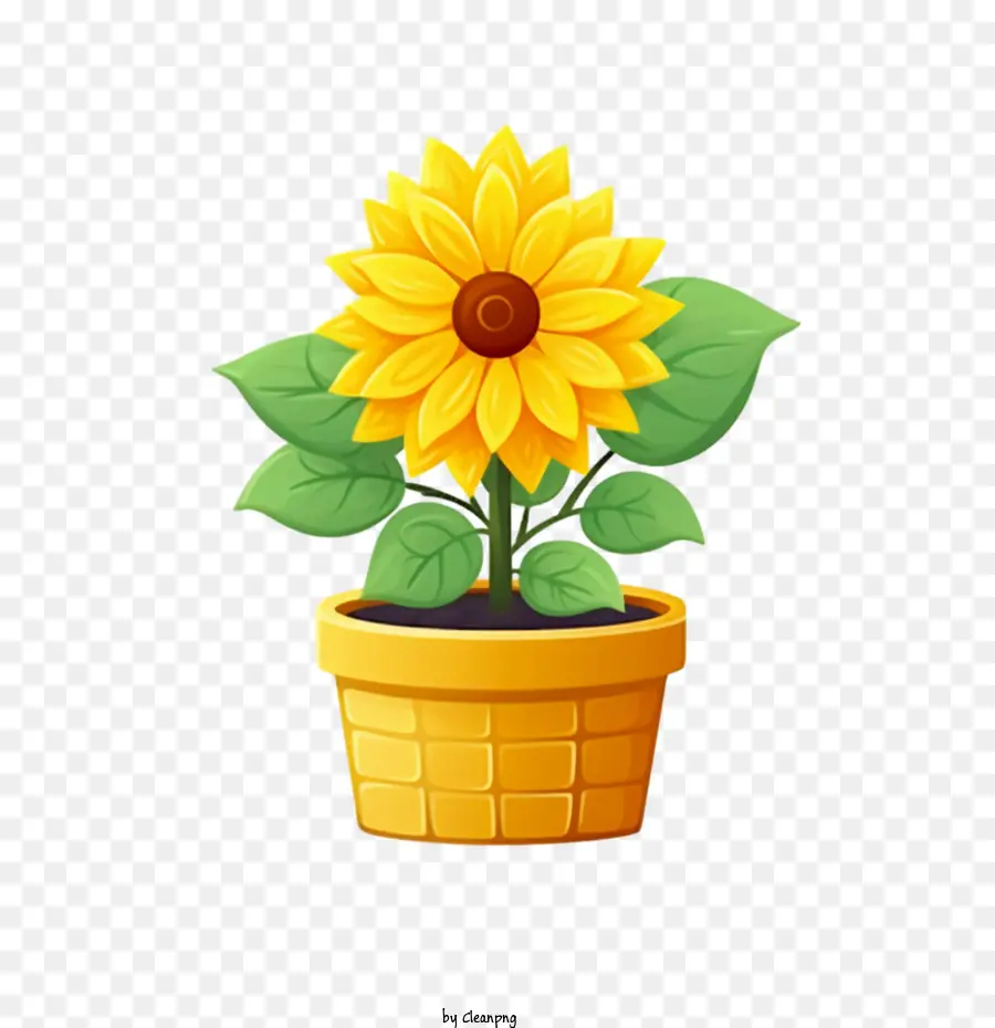 Girassol，Vaso De Flores PNG