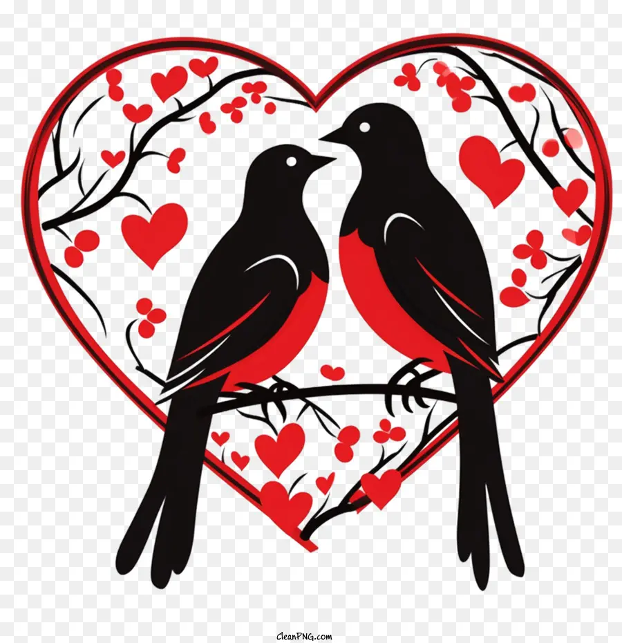 Pássaros Do Amor，Aves PNG