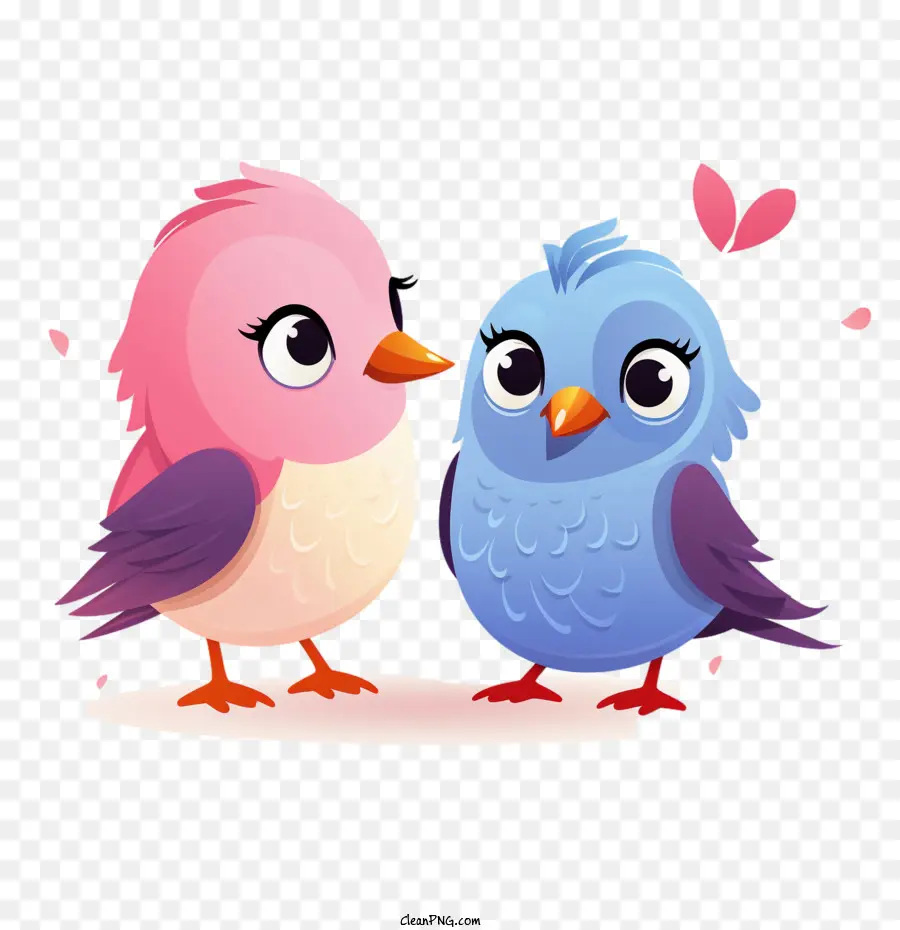 Pássaros Do Amor，Bonito PNG