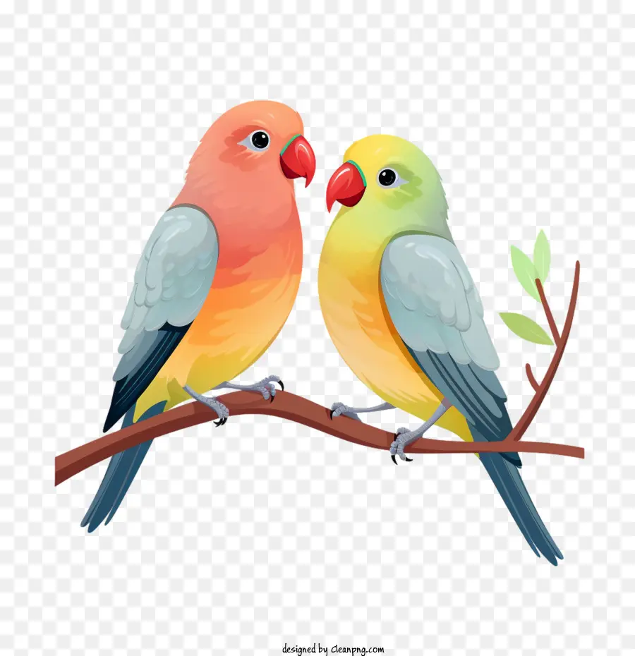 Pássaros Do Amor，Papagaio PNG