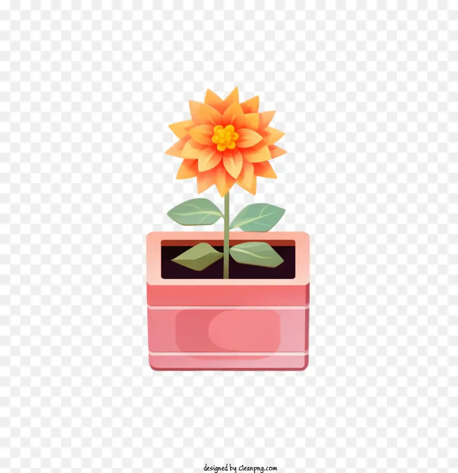 Flor Dahlia，Flowerpot PNG
