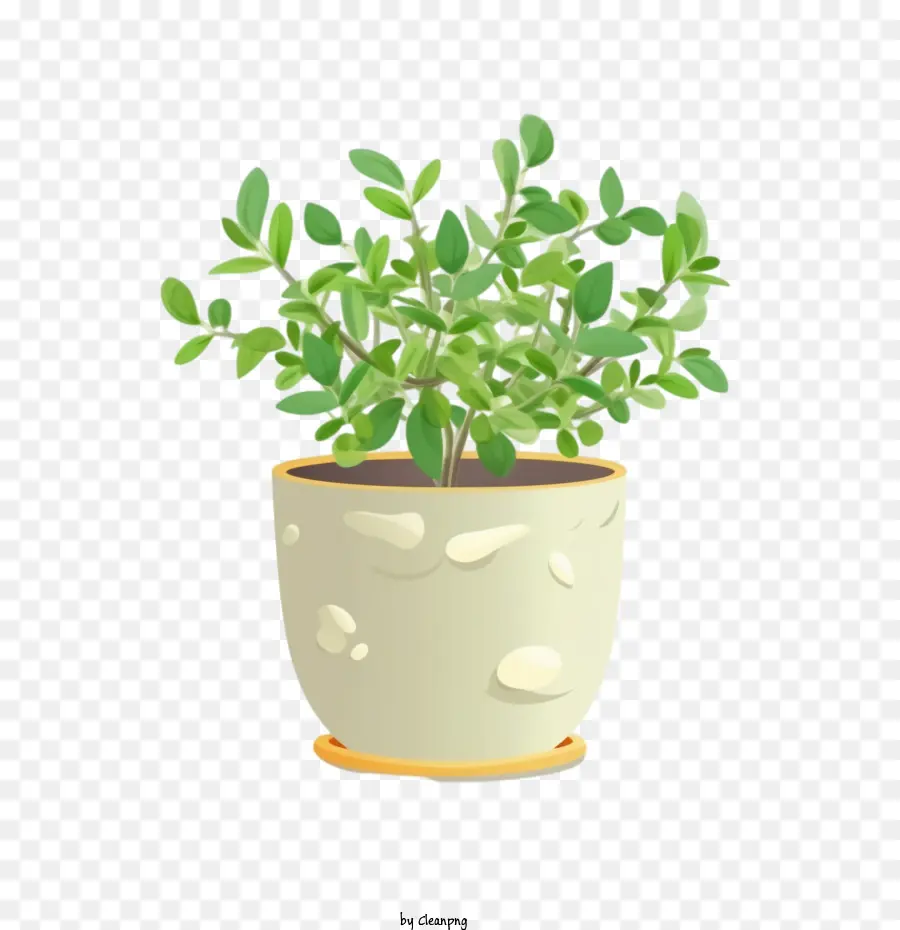 Utis Benjamina，Um Vaso De Planta PNG