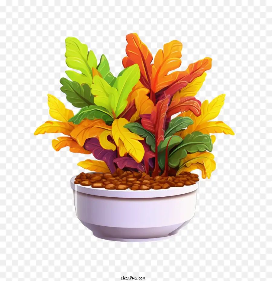 Planta De Crótons，Planta Colorida PNG