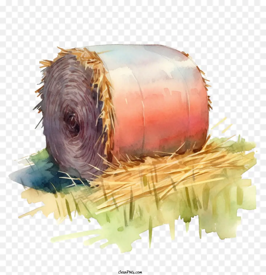 Hay Bale，Palheiro PNG