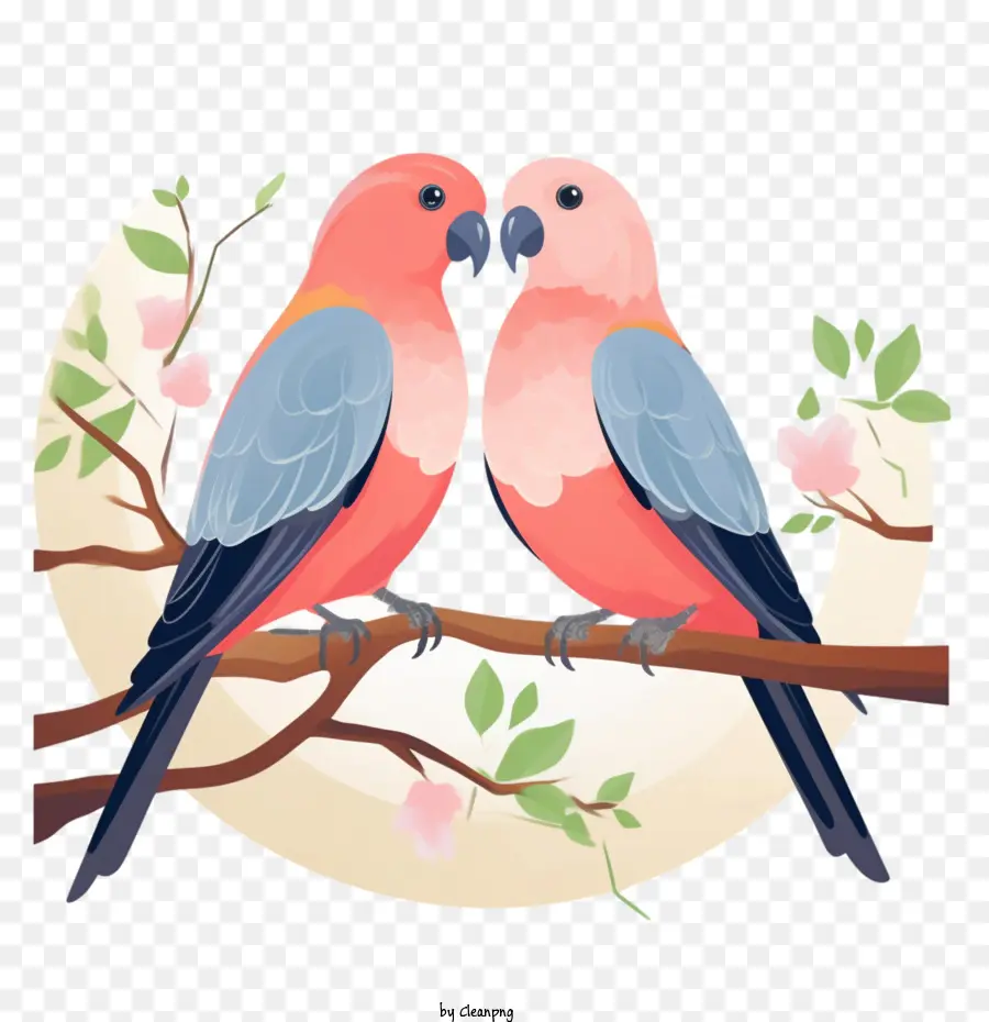 Pássaros Do Amor，Agapornis PNG