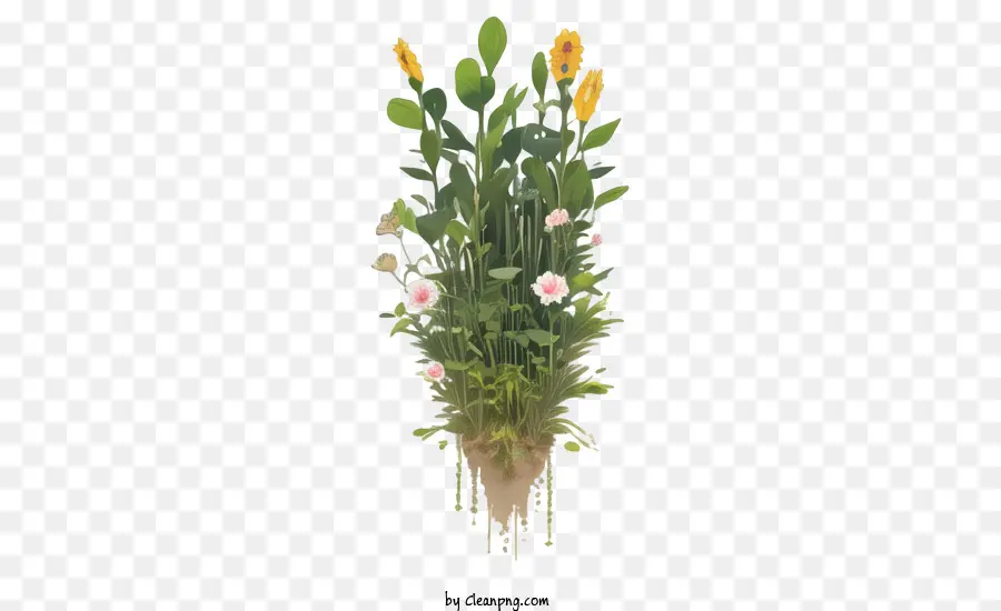 Planta，Vaso De Flores PNG