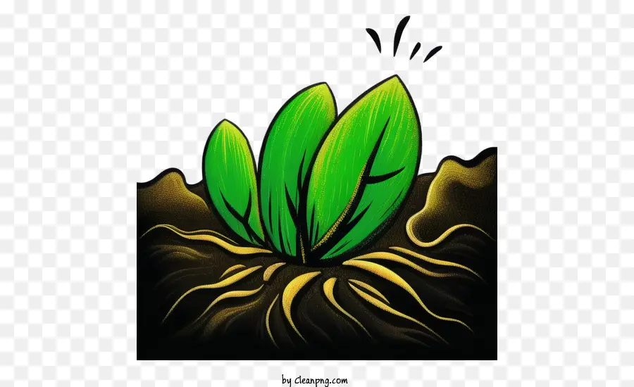 Planta，Verde PNG