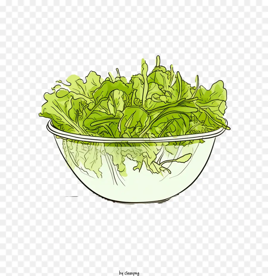 Salada Verde，Salada Desenhada à Mão PNG