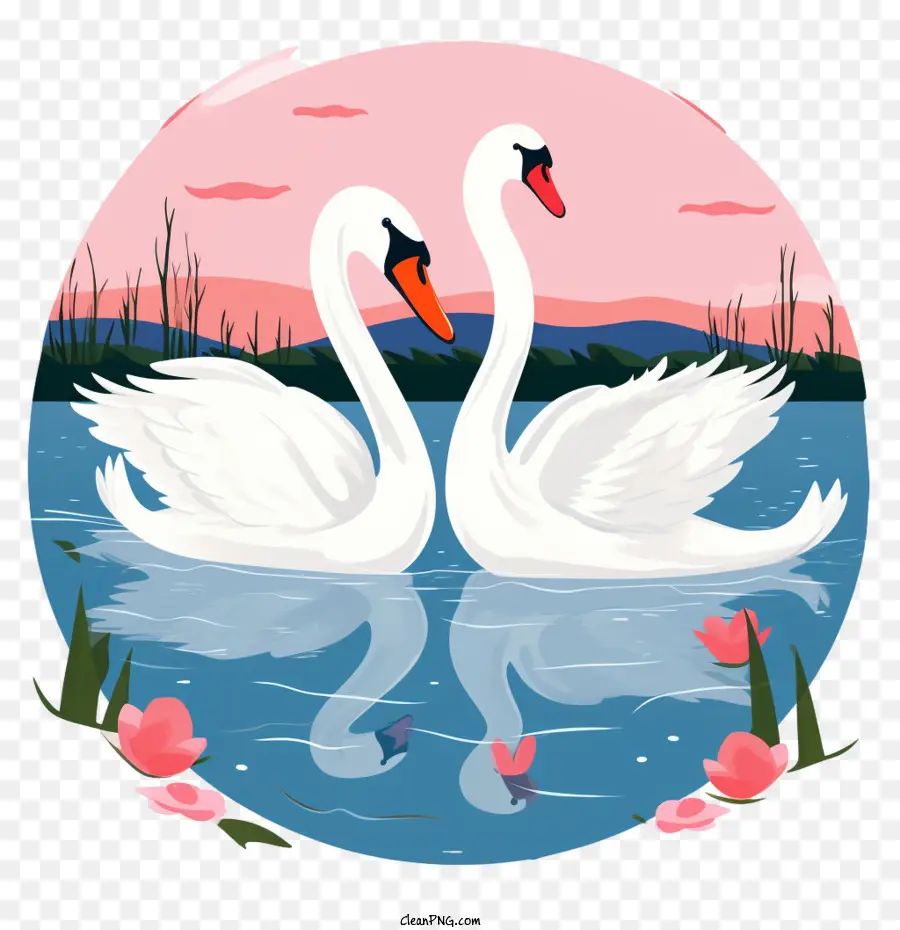 Cisne，Cisnes Apaixonados PNG