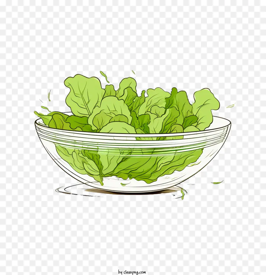 Salada Verde，Salada Desenhada à Mão PNG