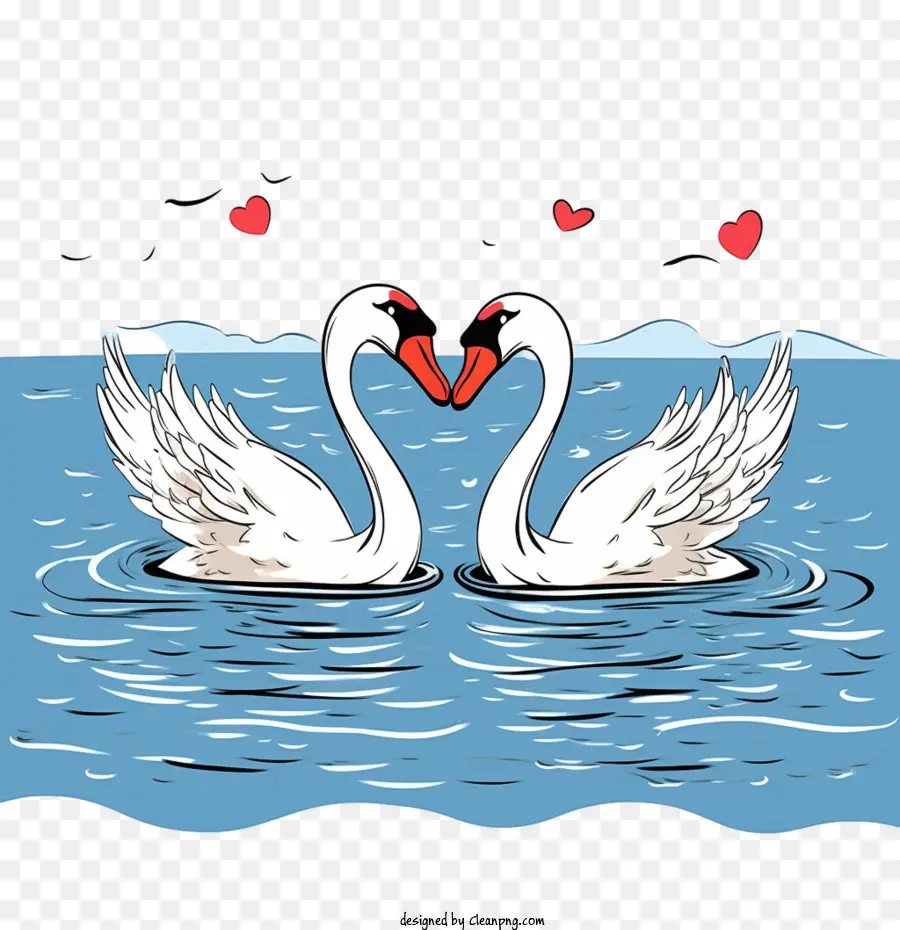 Cisne，Cisnes PNG