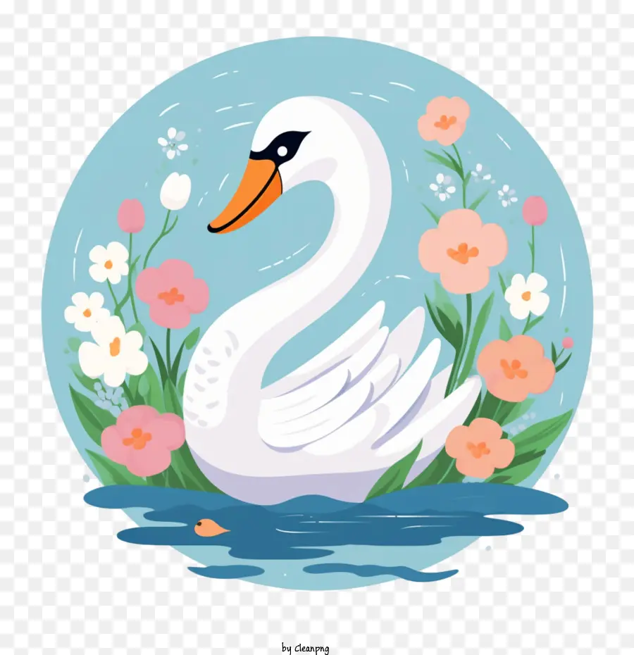 Cisne，Pássaro PNG