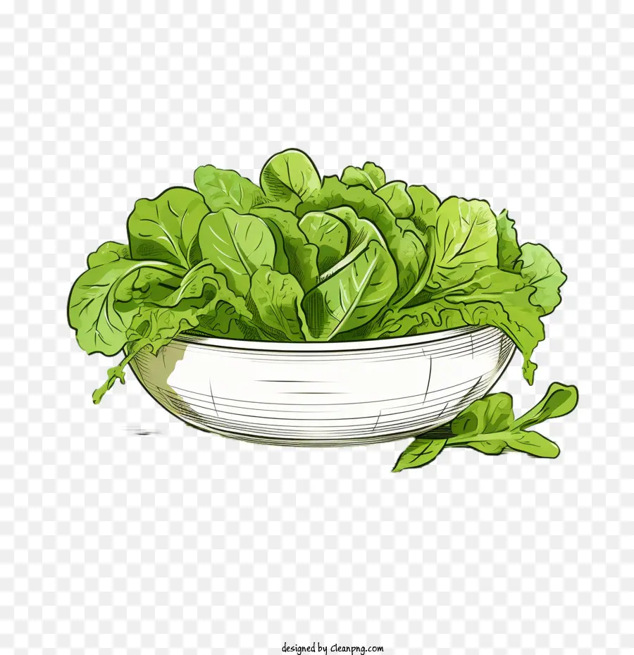 Salada Verde，Salada Desenhada à Mão PNG