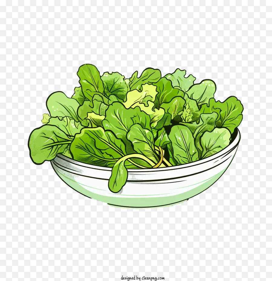 Salada Verde，Salada Desenhada à Mão PNG