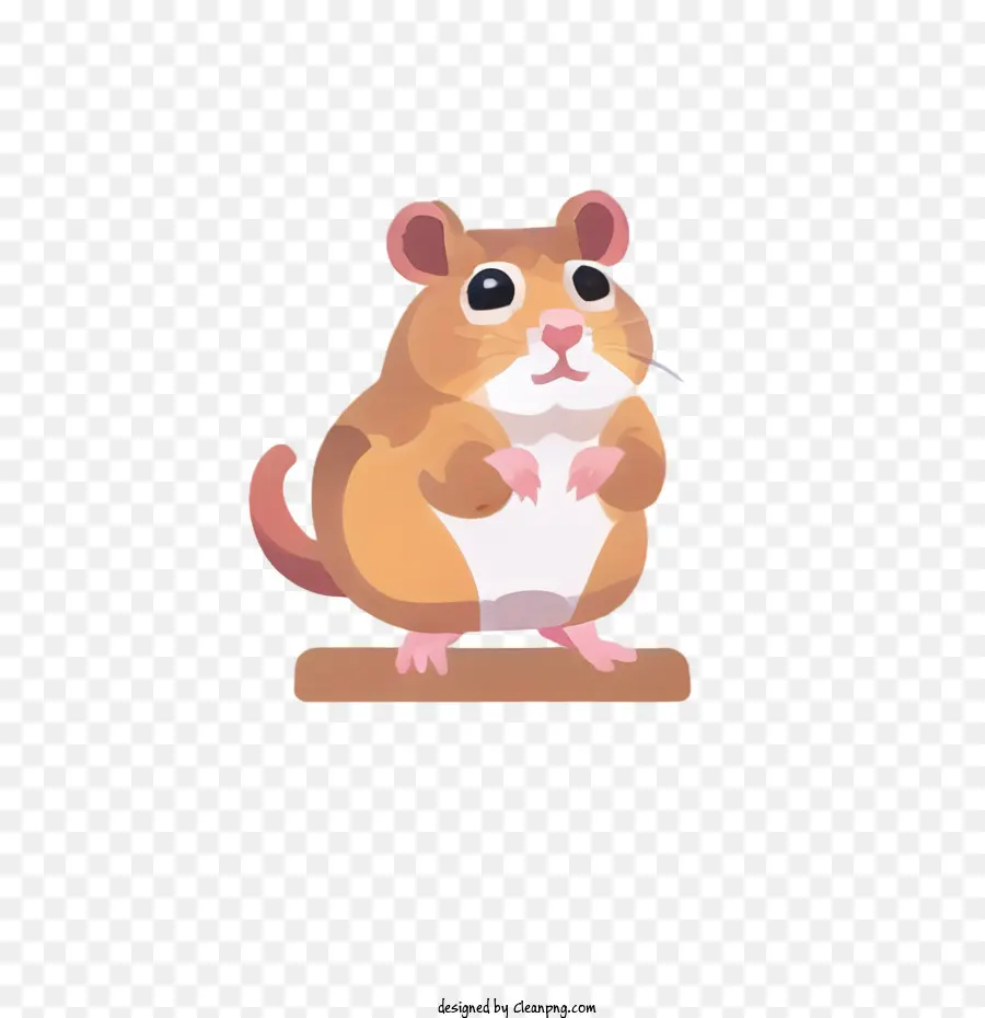 Hamster Bonito，Hamster PNG