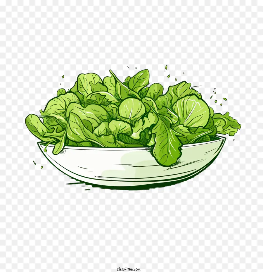 Salada Verde，Salada Desenhada à Mão PNG