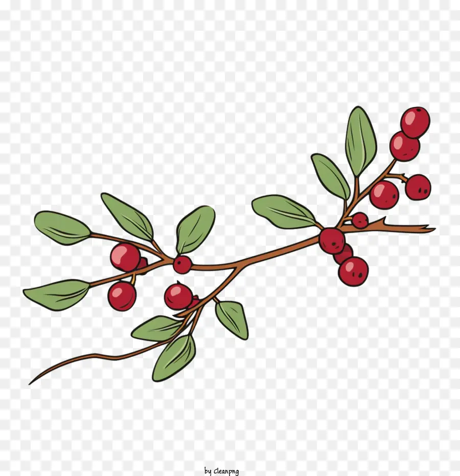 Cranberries Twig，Bagas PNG