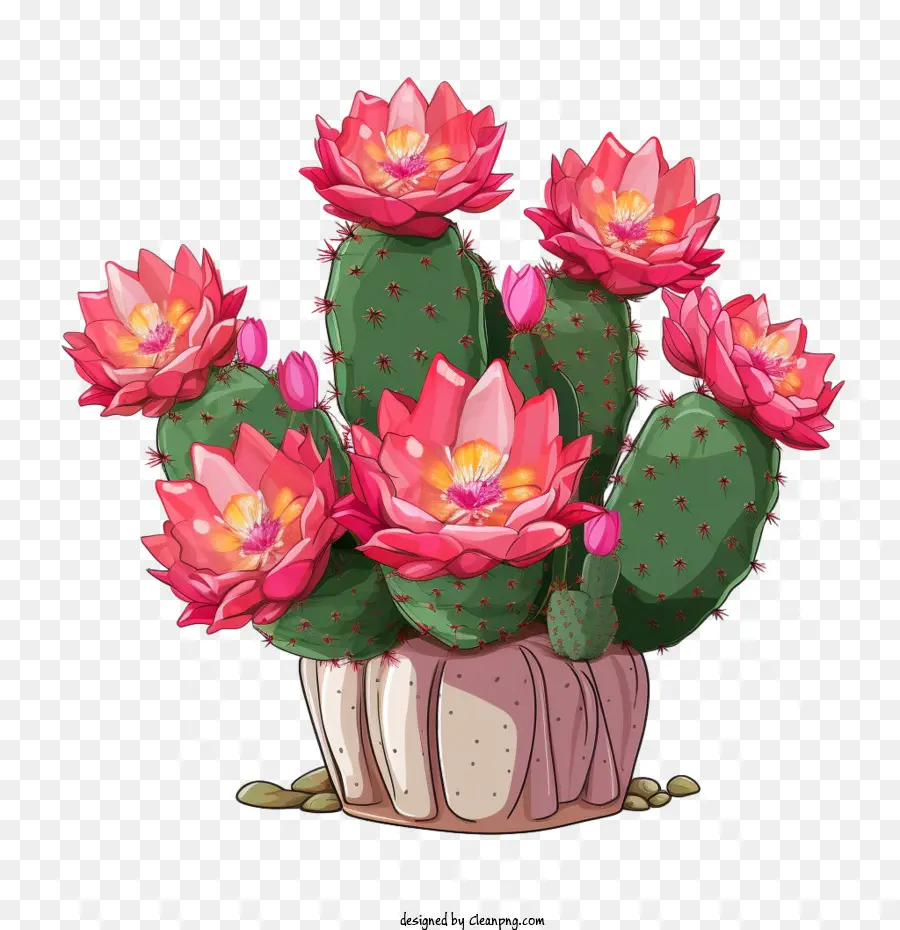 Cacto，Cacto Com Flores PNG