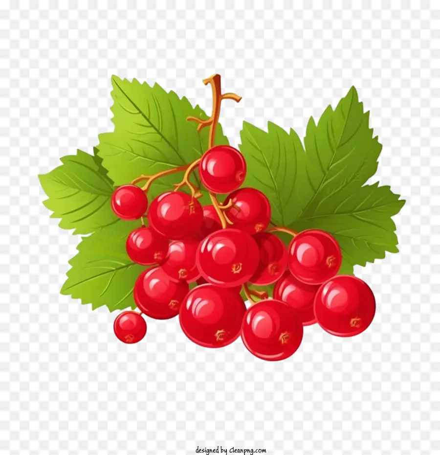 Frutos Silvestres，Cranberries PNG