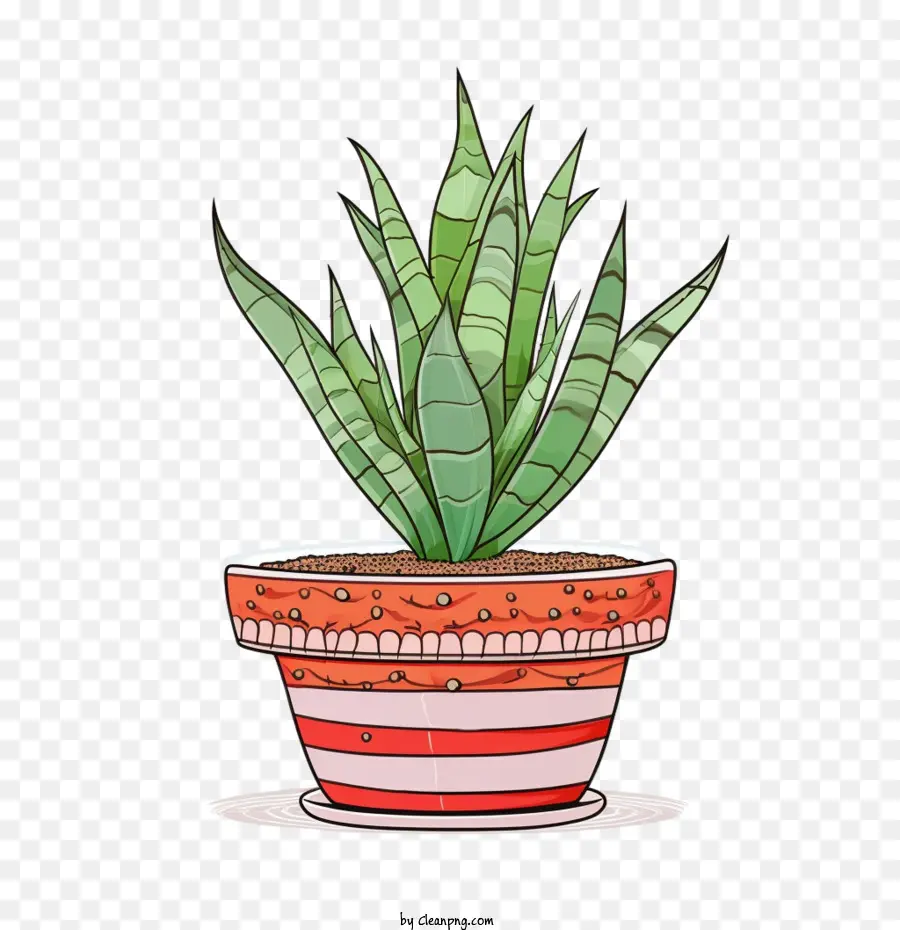 Aloe Vera，Planta PNG