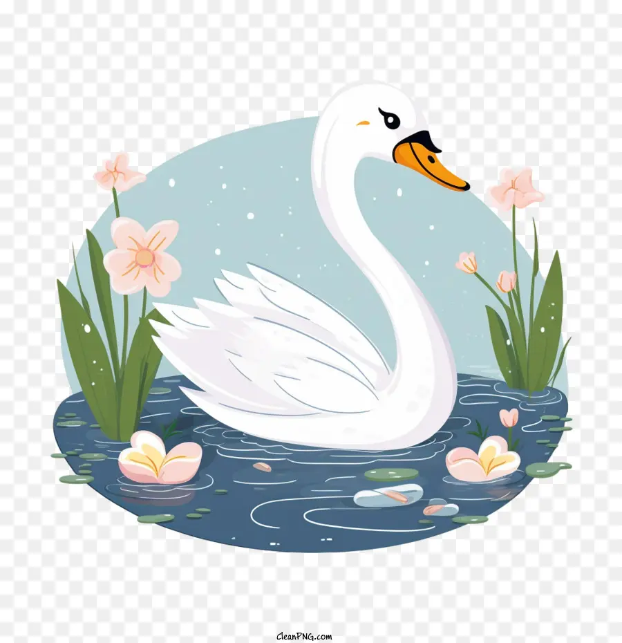 Swan，água PNG