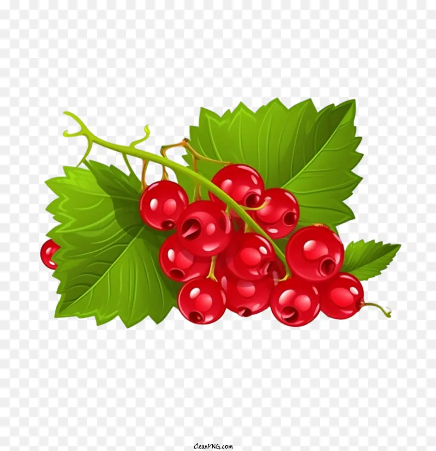 Frutos Silvestres，Cranberries PNG