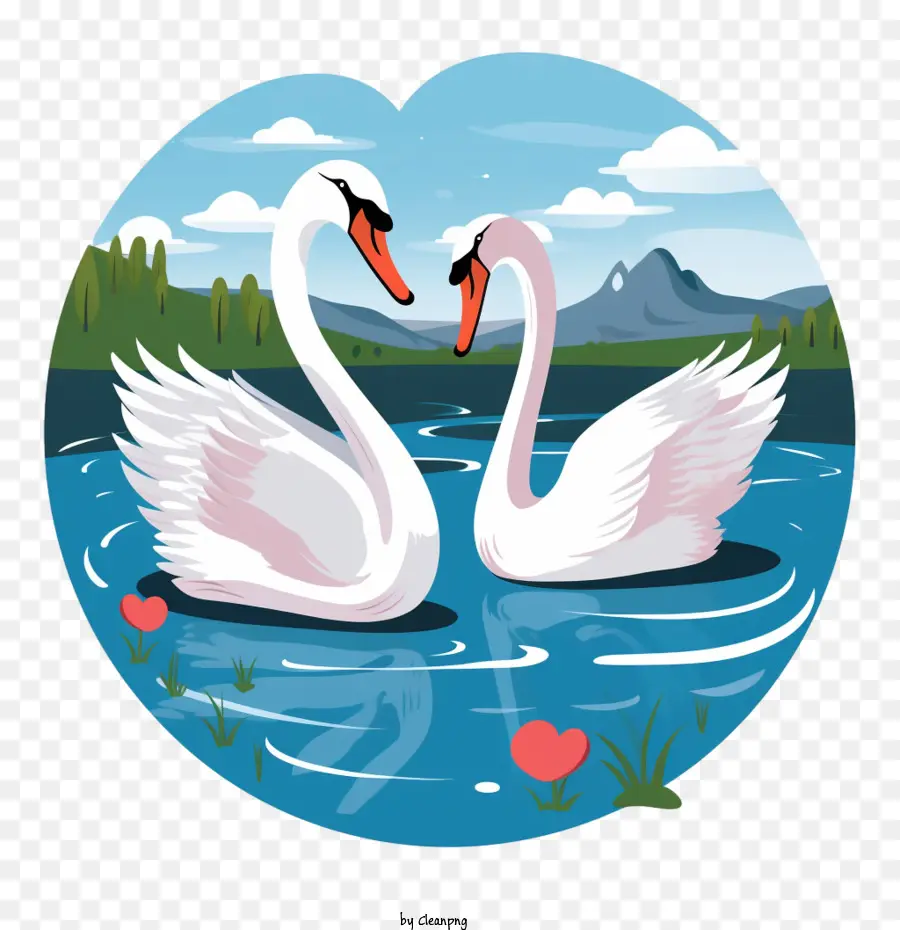 Cisne，Cisnes Apaixonados PNG