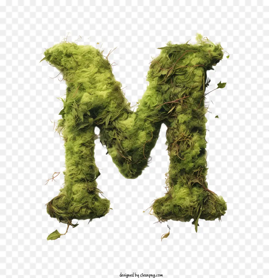 Letra M，Moss PNG