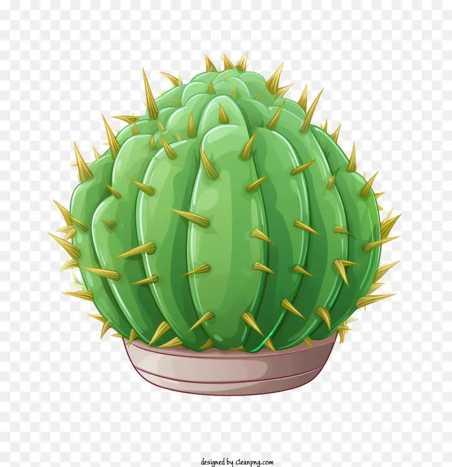 Cactus，Verde PNG