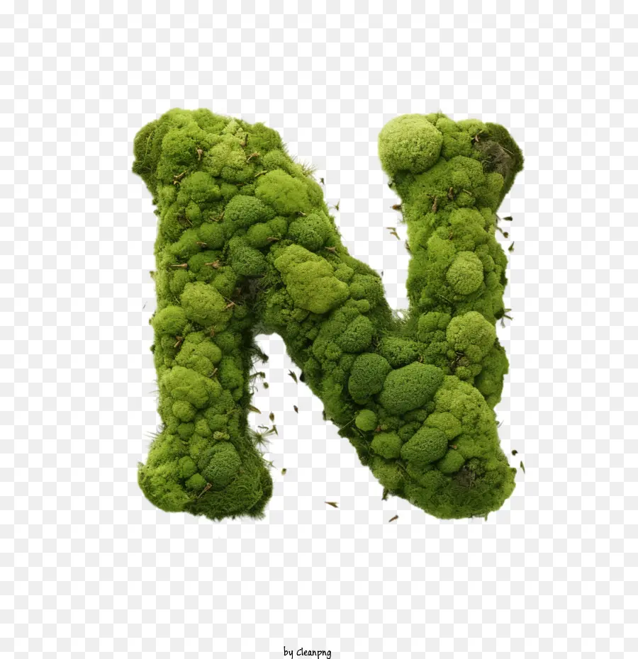 Letra N，Moss PNG