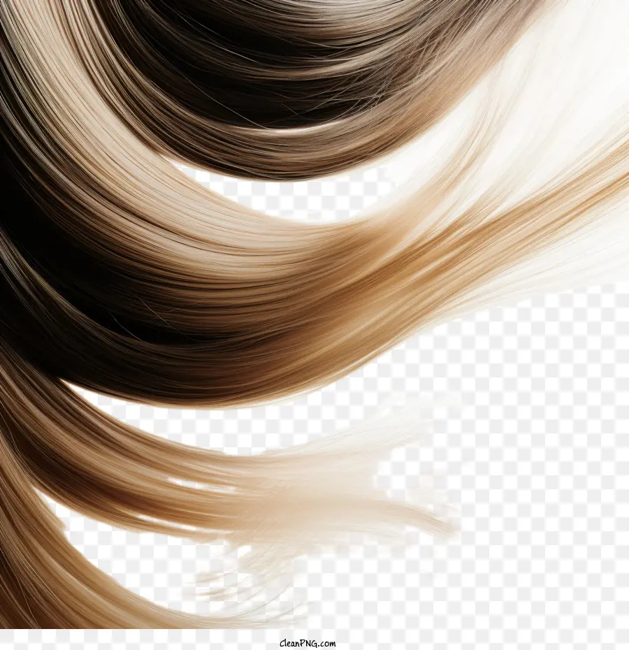 Dia Da Explosão Brasileira，Cabelo Loiro PNG